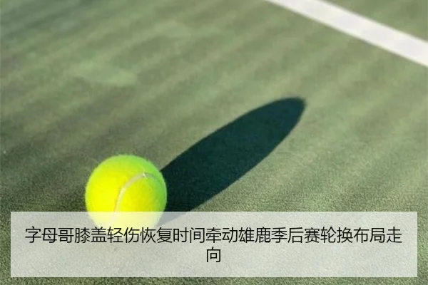 字母哥膝盖轻伤恢复时间牵动雄鹿季后赛轮换布局走向